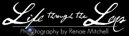 Life Through the Lens Photography by Renae Mitchell