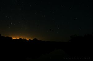 Stars Over the Red